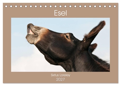 Esel sixtus loreley - -,